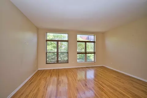 Living - 353 Eastgate Pl, Chicago, IL 60616 photo 8 of 11
