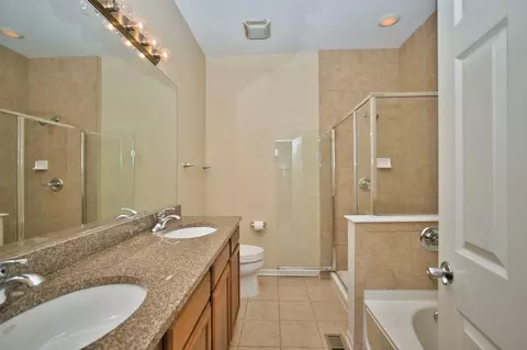 Bath - 353 Eastgate Pl, Chicago, IL 60616 photo 4 of 4