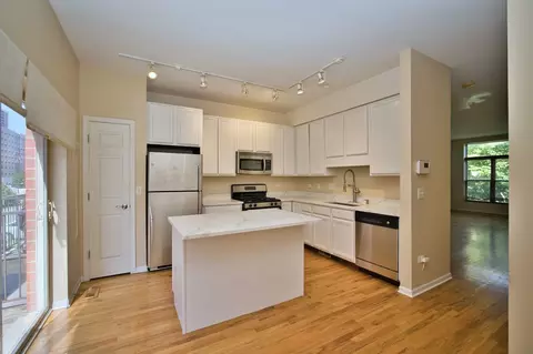 Kitchen - 353 Eastgate Pl, Chicago, IL 60616 photo 3 of 6