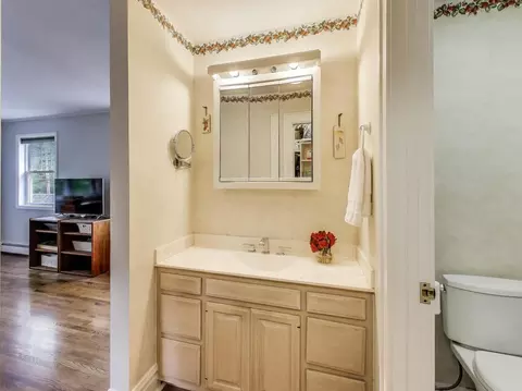 125 Thatcher Ave, River Forest, IL 60305 photo 18