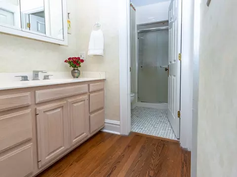 125 Thatcher Ave, River Forest, IL 60305 photo 19