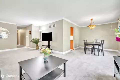 Other - 1213 Ryson Ct, Wheaton, IL 60189 photo 1 of 6