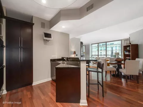Kitchen - 21 E Huron St #1106, Chicago, IL 60611 photo 3 of 4