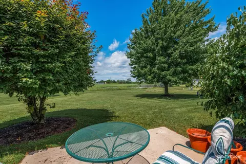 21610 W Empress Ln, Plainfield, IL 60544 photo 16