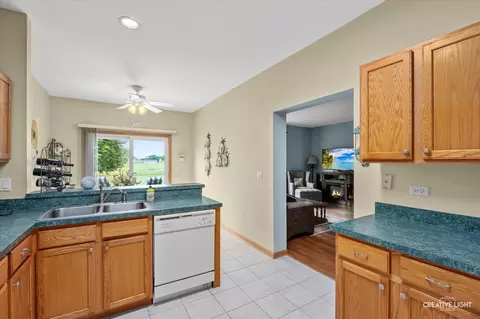21610 W Empress Ln, Plainfield, IL 60544 photo 9