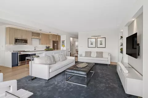 Living - Undisclosed, Chicago, IL 60657 photo 5 of 5