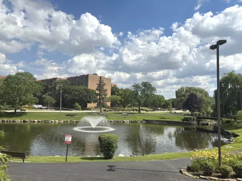 1103 S Hunt Club Dr #125, Mount Prospect, IL 60056