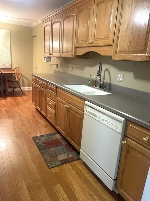 16156 S Serenity Dr, Plainfield, IL 60586 photo 9