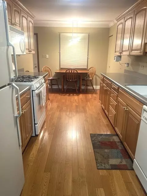 16156 S Serenity Dr, Plainfield, IL 60586 photo 8