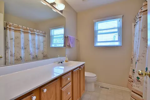 12910 Bradford Ln, Plainfield, IL 60585 photo 38