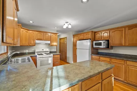 11402 Abbey Rd, Mokena, IL 60448 photo 26