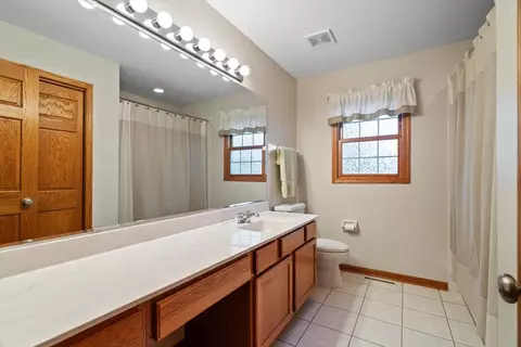 11402 Abbey Rd, Mokena, IL 60448 photo 36