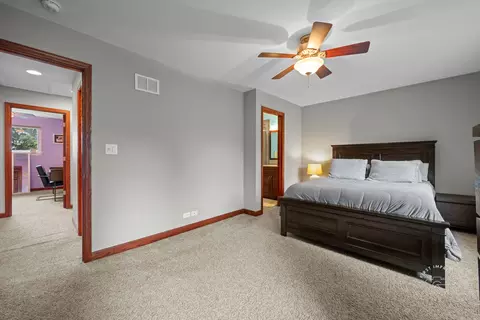 502 Burning Tree Ln, Naperville, IL 60563 photo 12