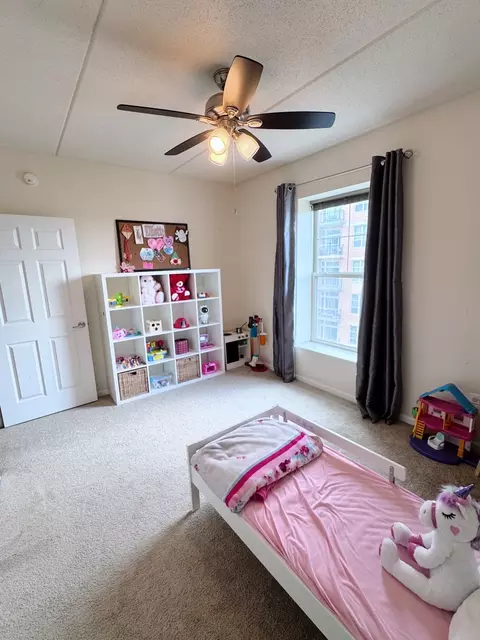 656 Pearson St #512C, Des Plaines, IL 60016 photo 16