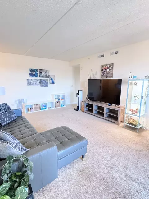 656 Pearson St #512C, Des Plaines, IL 60016 photo 6