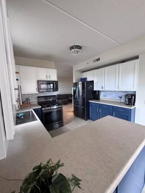 656 Pearson St #512C, Des Plaines, IL 60016 photo 10