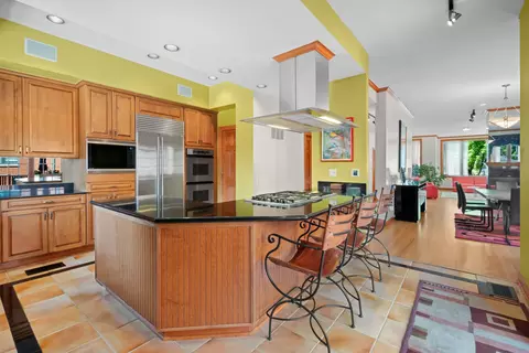 925 E 49th St, Chicago, IL 60615 photo 12