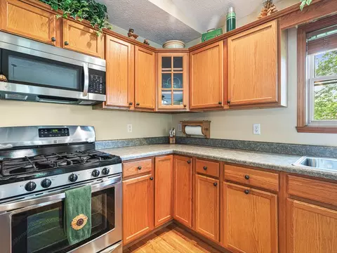 1375 Coven Cir, Davis, IL 61019 photo 13