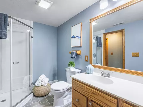 Bath - 384 Orleans Dr, Davis, IL 61019 photo 3 of 4