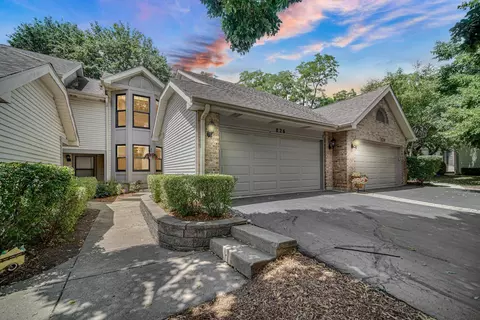 826 N Auburn Woods Dr, Palatine, IL 60067