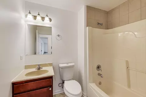 Bath - 25651 S Middle Point Ave, Monee, IL 60449 photo 2 of 4