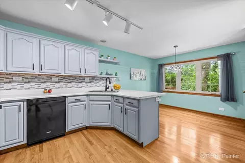 Kitchen - 893 Millcreek Cir, Elgin, IL 60123 photo 2 of 2