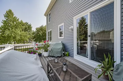 24333 W Walnut Cir, Plainfield, IL 60585 photo 48