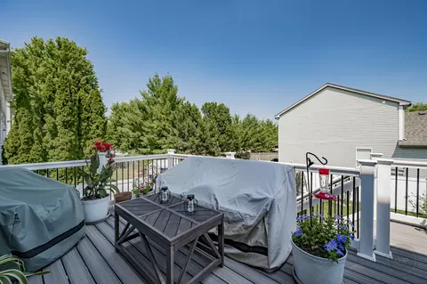 24333 W Walnut Cir, Plainfield, IL 60585 photo 47