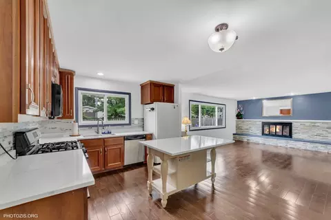 445 Kinkaid Ct, Des Plaines, IL 60016 photo 8