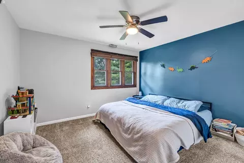 Bedroom - 9822 W Pauling Rd, Monee, IL 60449 photo 3 of 4
