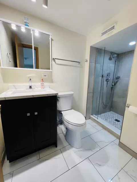 Bath - 189 Ambleside Rd, Des Plaines, IL 60016 photo 6 of 7
