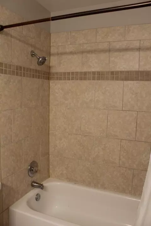 Bath - 1098 Clover Hill Ln, Elgin, IL 60120 photo 3 of 4