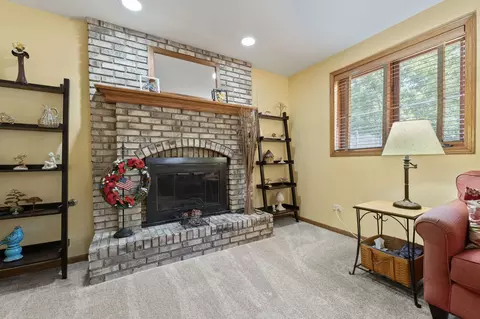 17019 Danielle Ct, Oak Forest, IL 60452 photo 23