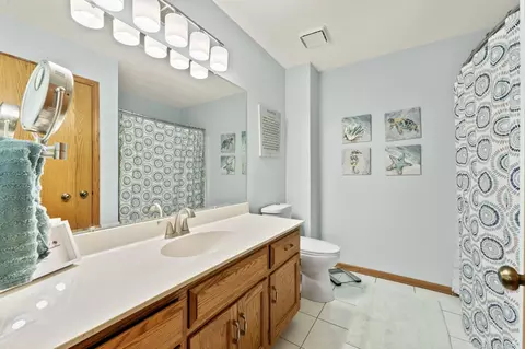 17019 Danielle Ct, Oak Forest, IL 60452 photo 25