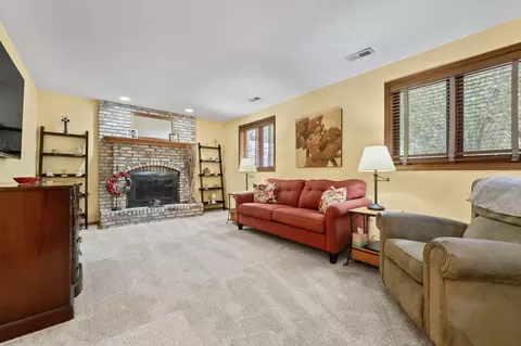17019 Danielle Ct, Oak Forest, IL 60452 photo 19
