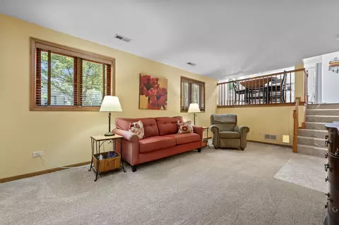 17019 Danielle Ct, Oak Forest, IL 60452 photo 22