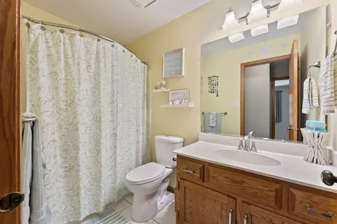 17019 Danielle Ct, Oak Forest, IL 60452 photo 18