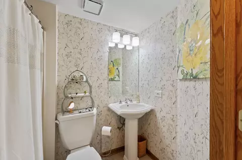 17019 Danielle Ct, Oak Forest, IL 60452 photo 38