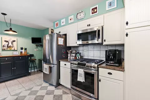 222 Dulles Rd, Des Plaines, IL 60016 photo 3
