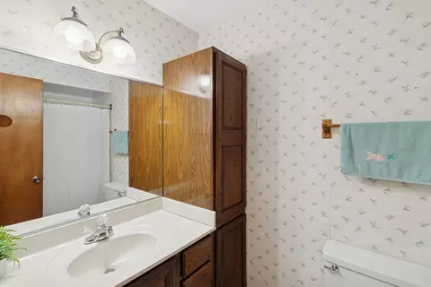 Bath - 185 Princeton St, Hoffman Estates, IL 60169 photo 1 of 1