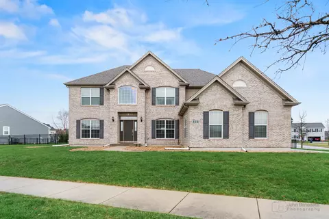 173 Hibiscus Ln, Elgin, IL 60124 photo 1