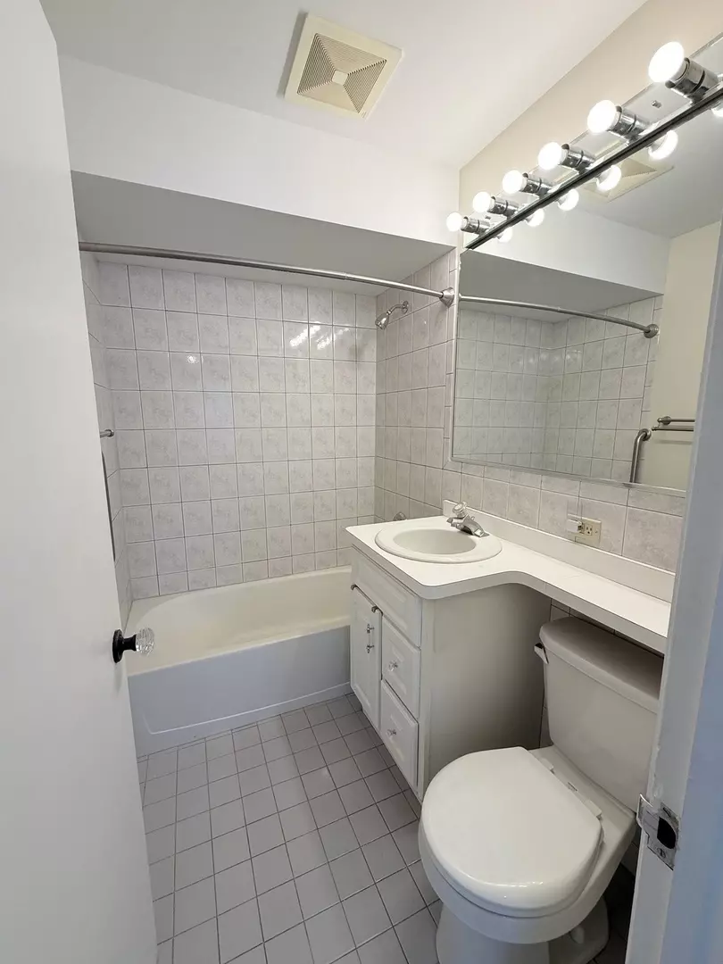 Bath - 4700 N Ashland Ave #4, Chicago, IL 60640 photo 1 of 1
