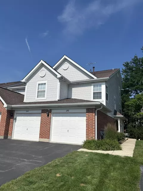 250 Ashbury Ln E #250, Roselle, IL 60172