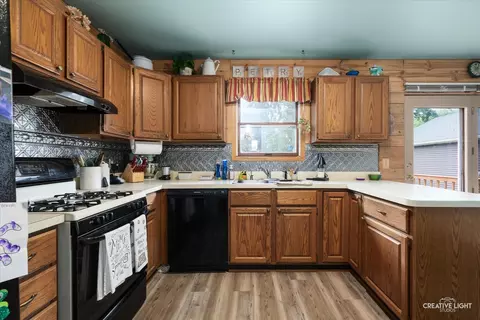 14 Earl St, Plano, IL 60545 photo 3