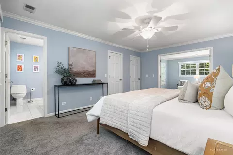 1347 Deep Run Rd, Naperville, IL 60540 photo 21