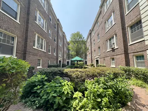 441 N Lombard Ave #2, Oak Park, IL 60302