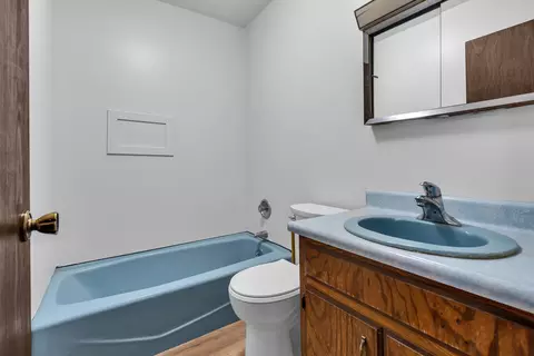 Bath - 5724 W Pauling Rd, Monee, IL 60449 photo 1 of 2