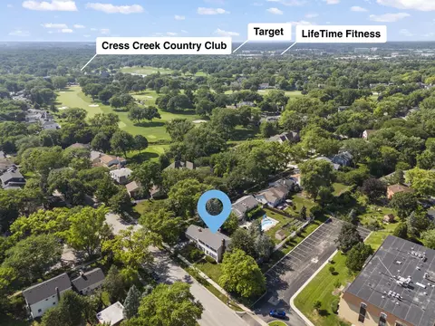 541 Burning Tree Ln, Naperville, IL 60563 photo 33