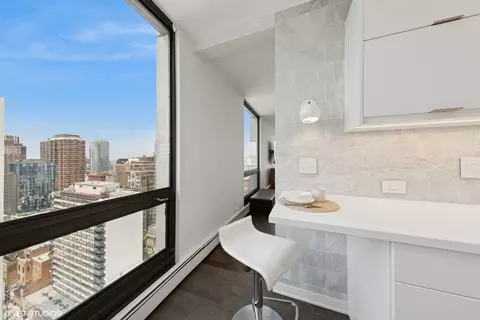 100 E Bellevue Pl #24E, Chicago, IL 60611 photo 7