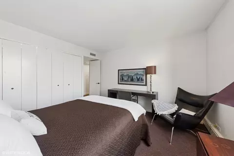 100 E Bellevue Pl #24E, Chicago, IL 60611 photo 25
